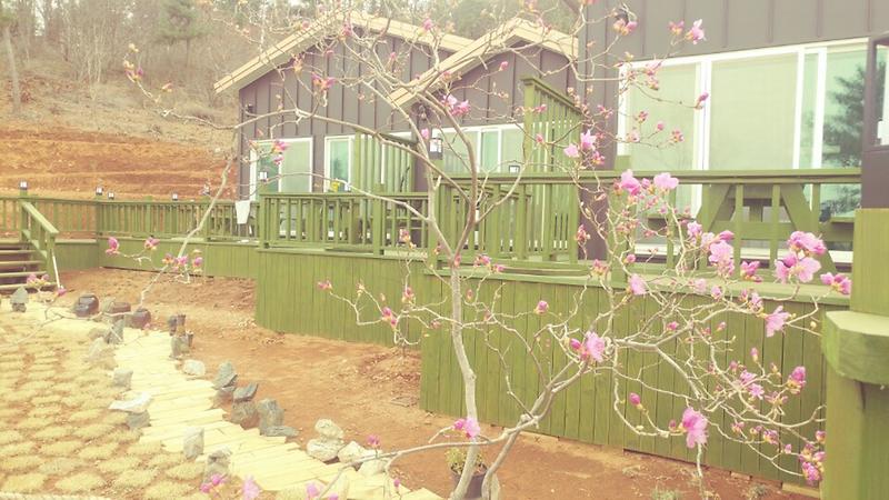 볼소리 펜션 사진