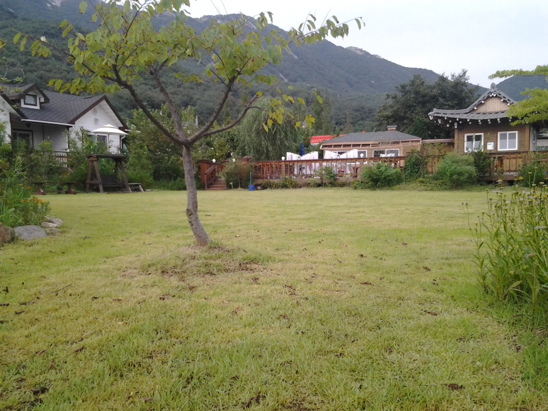 농부의아침 사진4