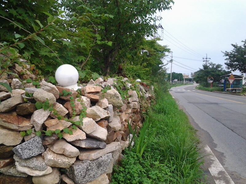 농부의아침 사진3