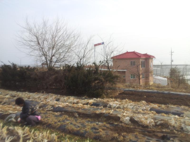 UN본부펜션 사진4