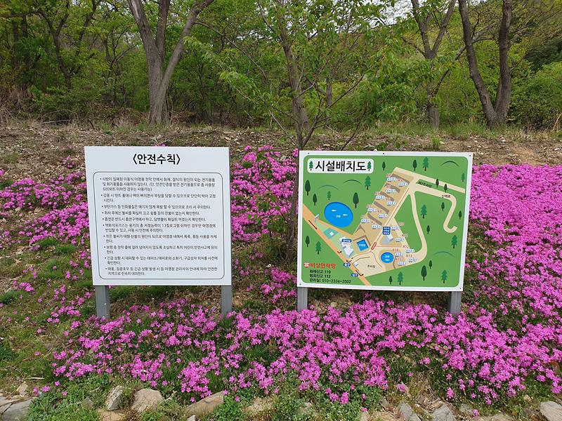 아르보리아파크캠핑장 사진