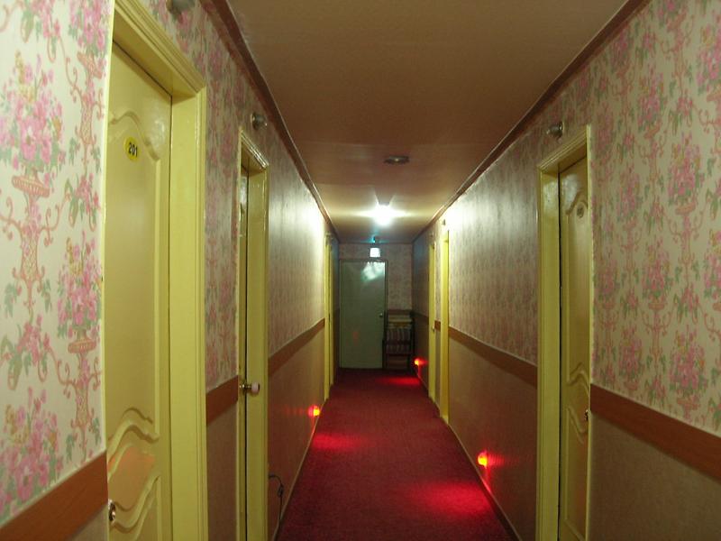 Big Tree 호스텔 사진5