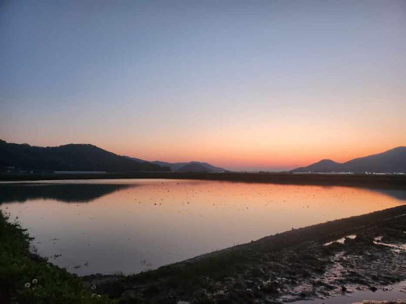 수하우스 사진6