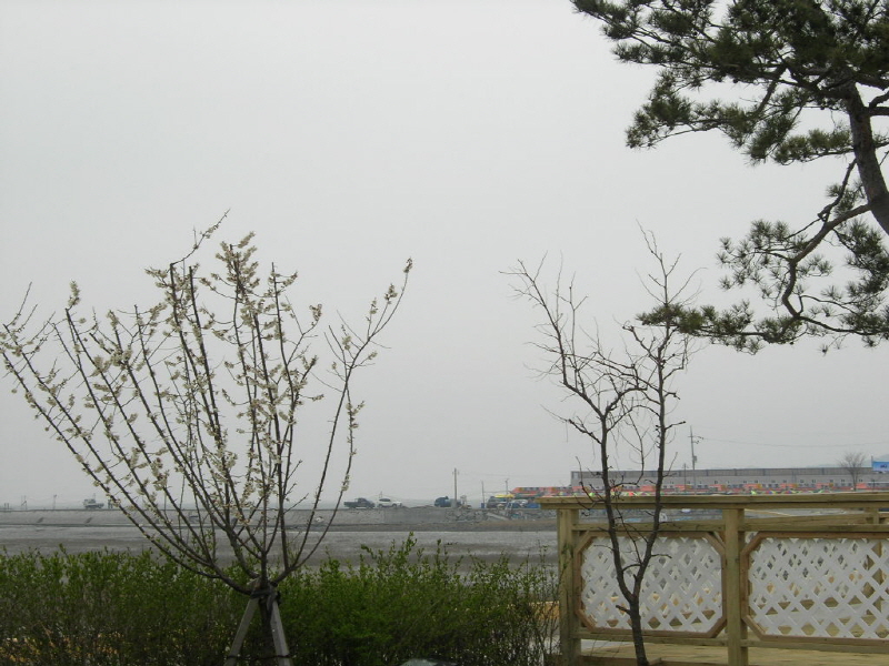 바닷가 산책 사진4