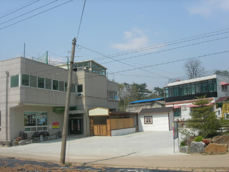 바닷가 숲속 사진2