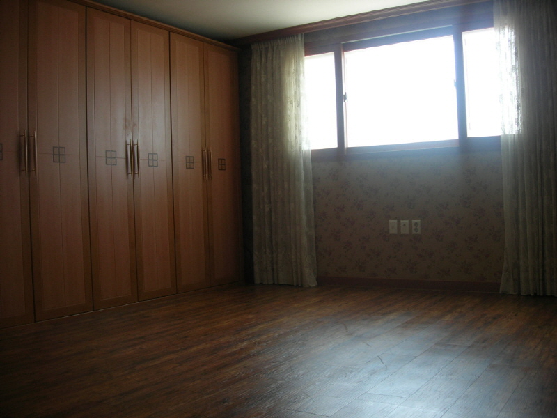 바닷가 숲속 사진5