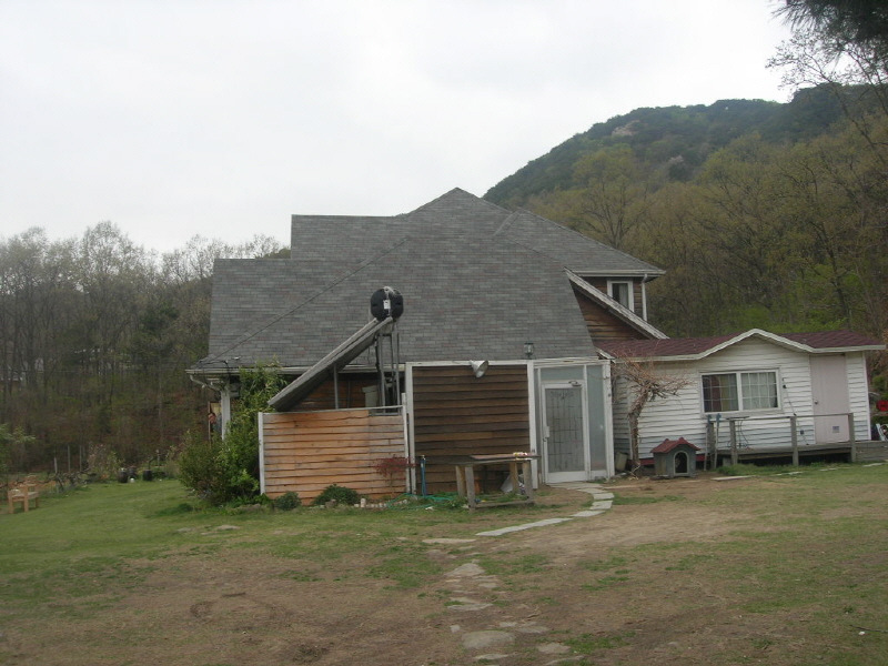 바다가 그리운 나무 사진2