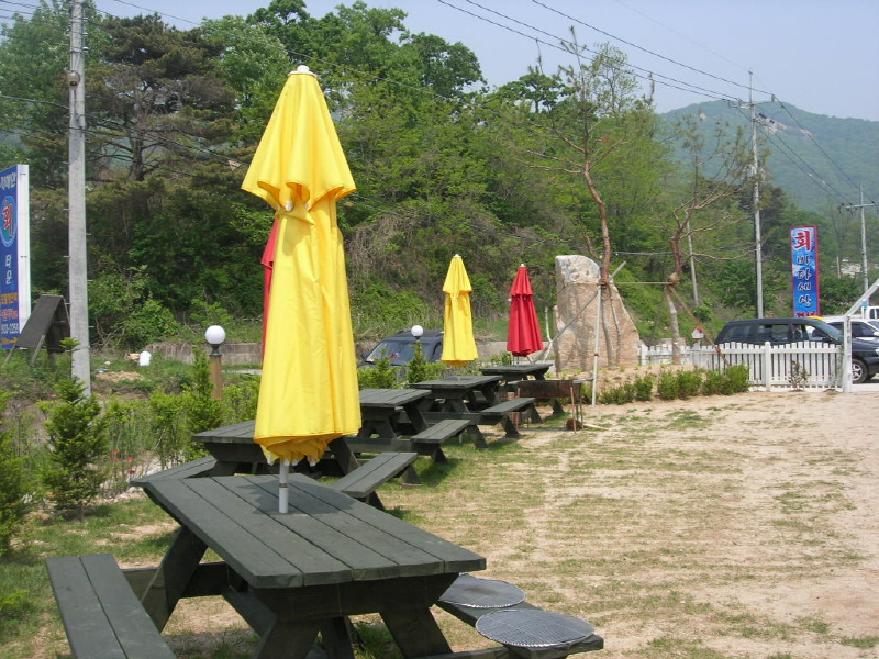 바다세상 사진3