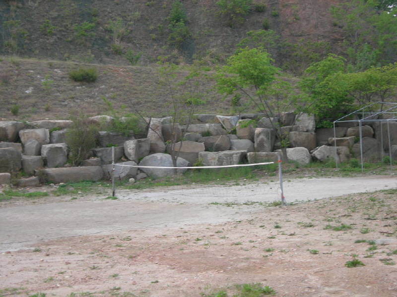 바다의마음 사진3