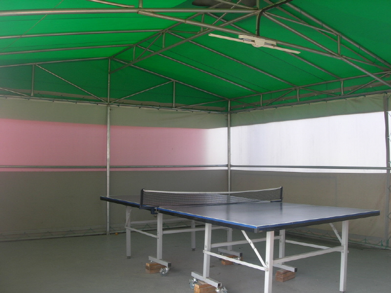 바이올렛2 사진3