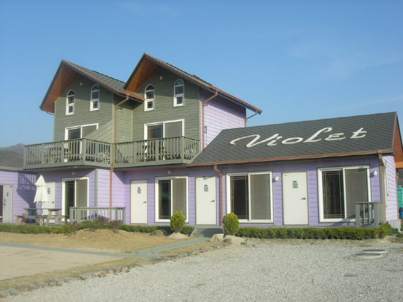 바이올렛2 사진