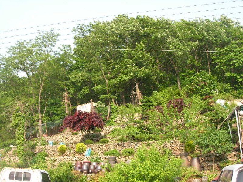 방게 민박 사진5