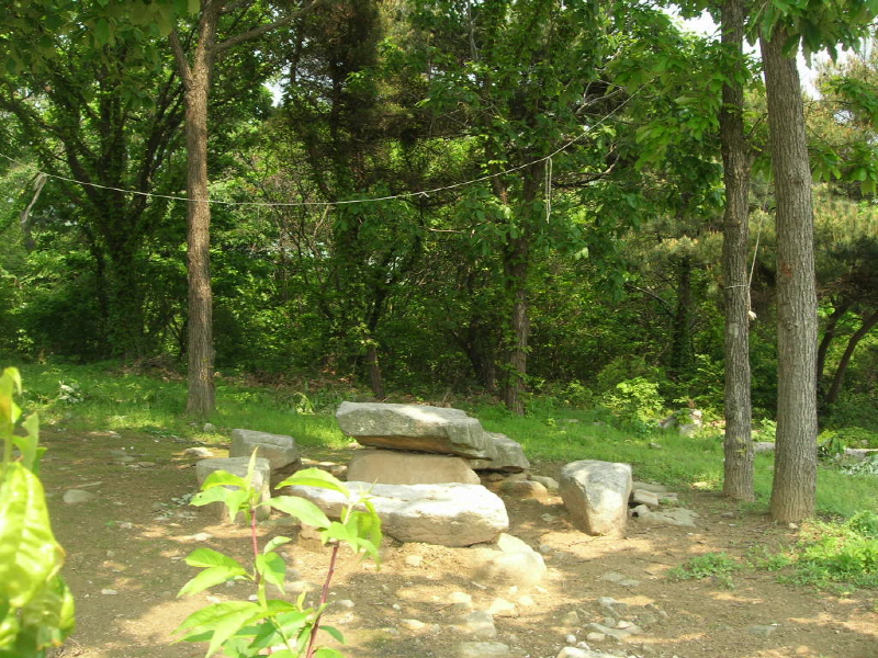 체리네 민박 사진4