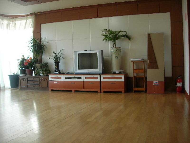 은행나무 사진4