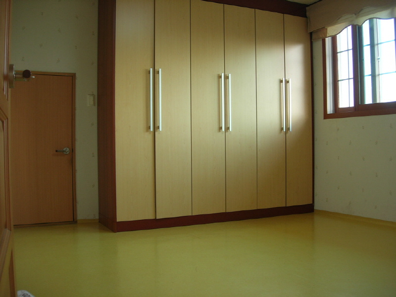 은행나무 사진6