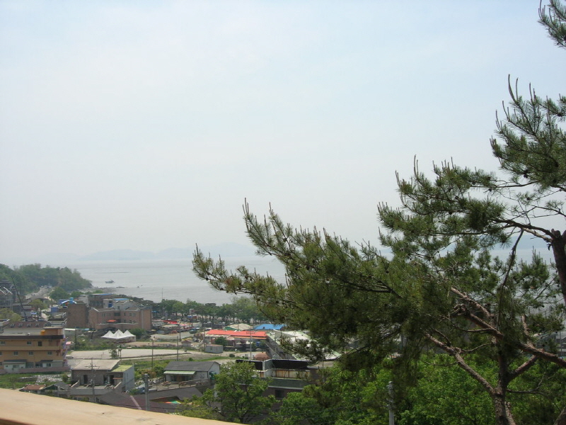 천사의 아침 사진9