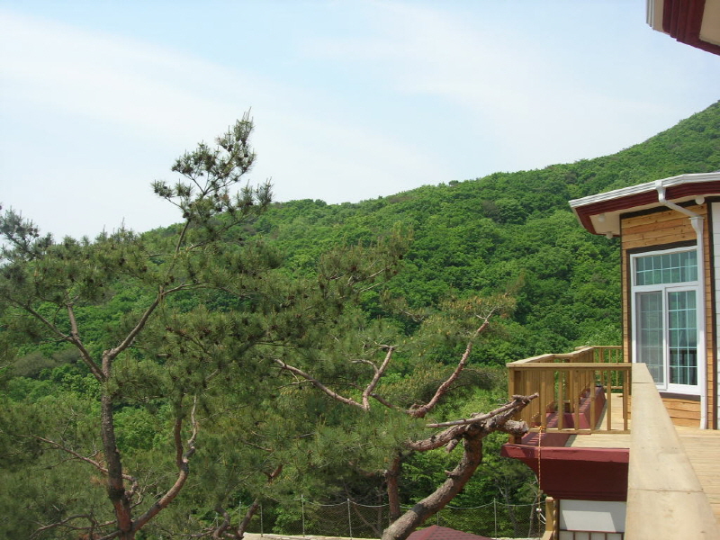 천사의 아침 사진10