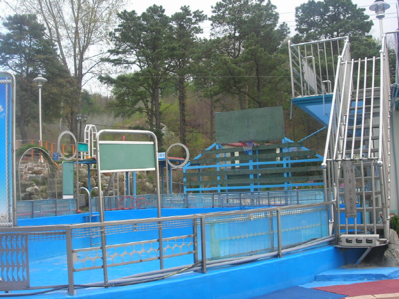 추억이 있는 바다 사진3