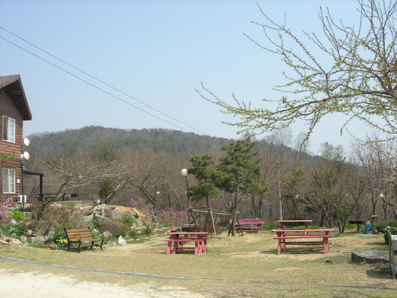 오비도스 사진3