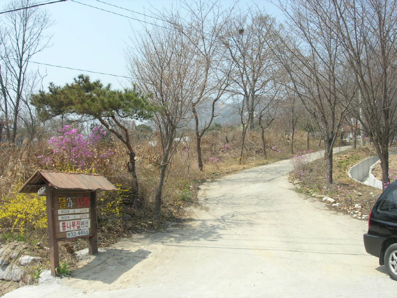 오비도스 사진