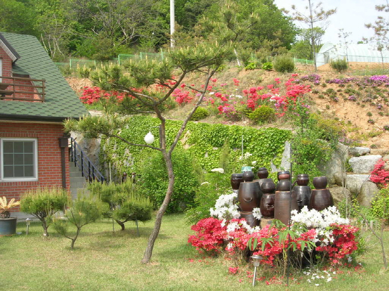들꽃펜션 사진2