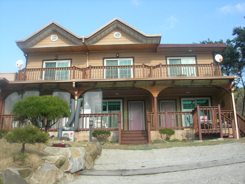 들꽃이 있는 바다 사진2