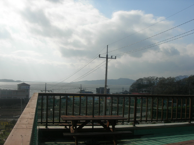 들꽃이 있는 바다 사진3