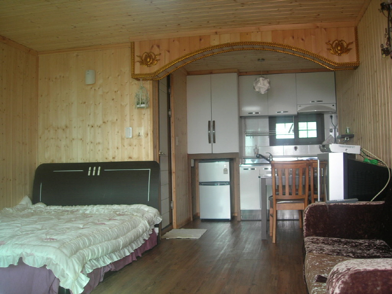 들꽃이 있는 바다 사진5