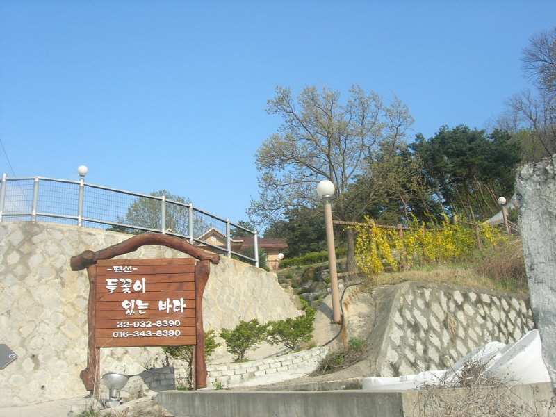 들꽃이 있는 바다 사진