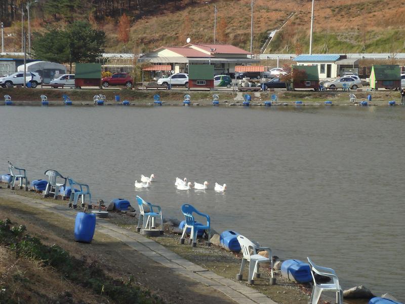 길상낚시터 사진2