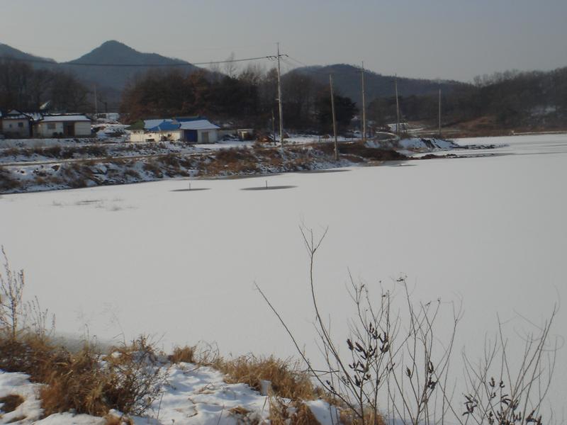 내가낚시터 사진5