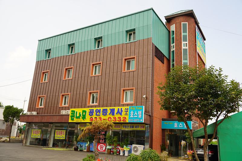 Big Tree 호스텔 사진