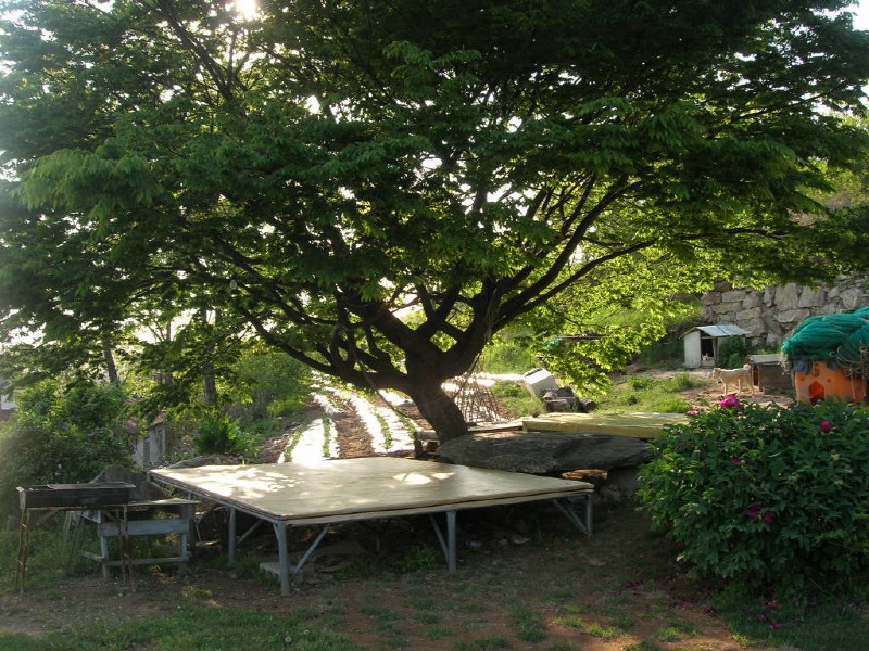 가정민박 사진2