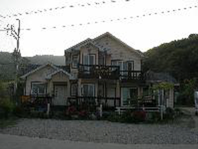 마로니에 사진2