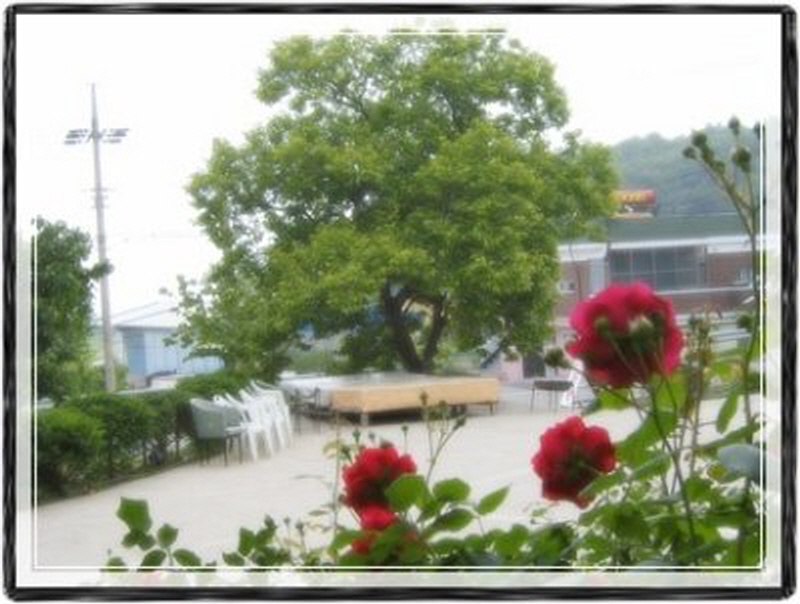 동막 민박 사진5