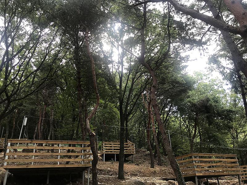 강화도 아침 숲속야영장 사진