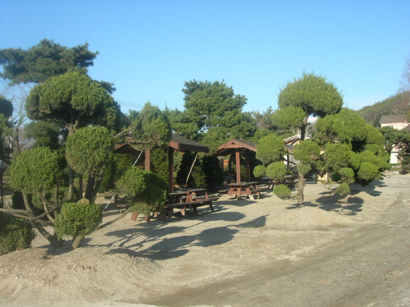 갑비고차 사진2