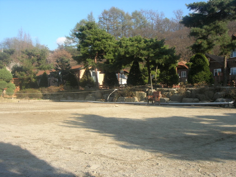 갑비고차 사진4