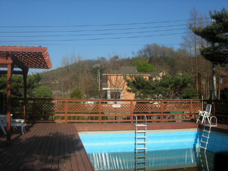 갑비고차 사진5