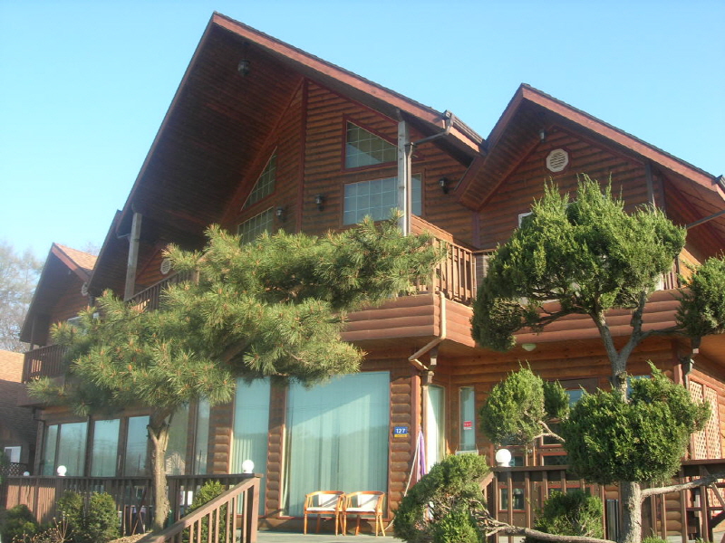 갑비고차 사진6