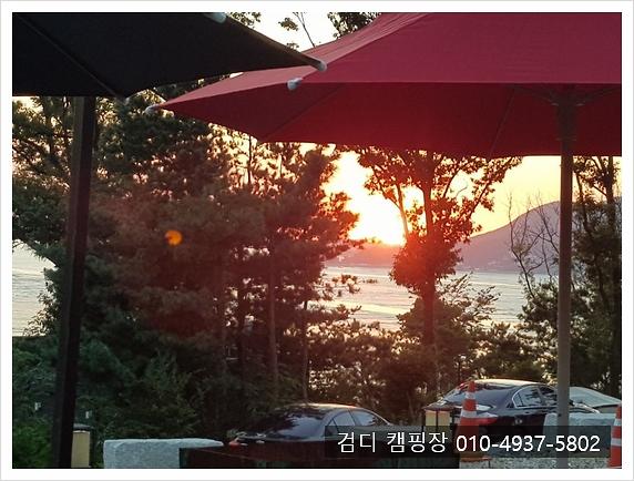 검디 관광농원 야영장 사진2