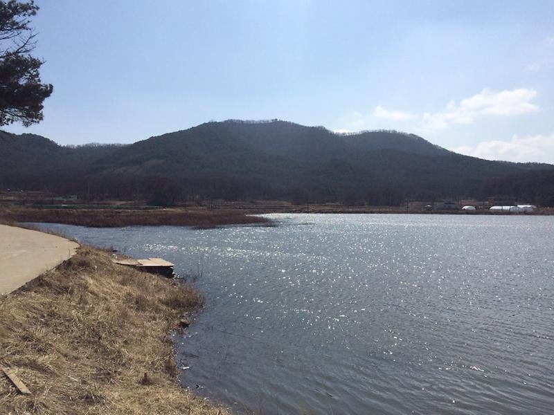 고구낚시터 사진2