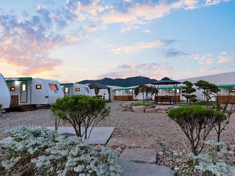 헬로 카라반 사진