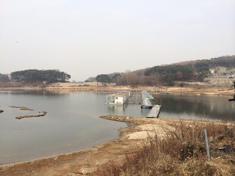 황청낚시터 사진7