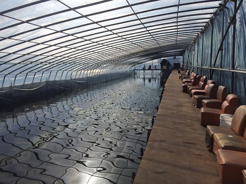 황산레저낚시터 사진4