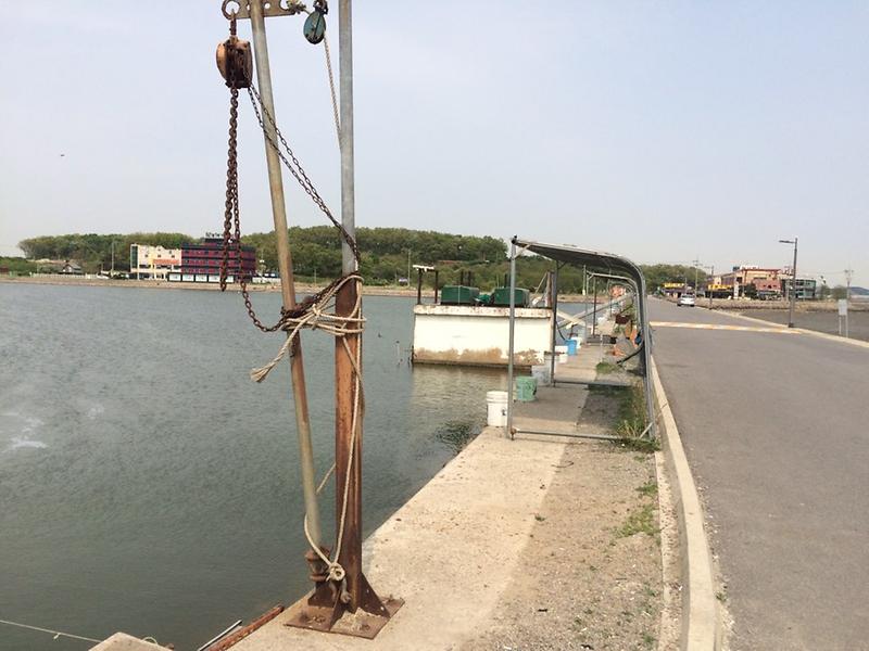 황산레저낚시터 사진