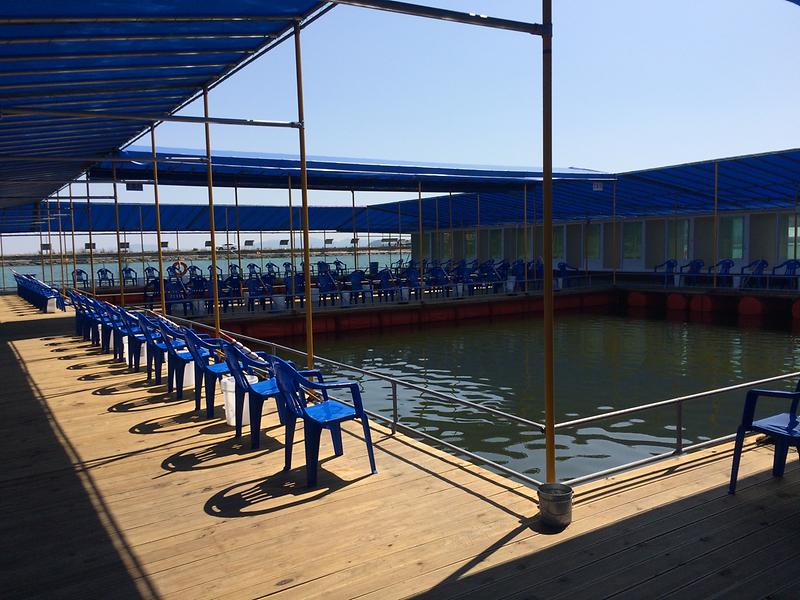 황산레저낚시터 사진5