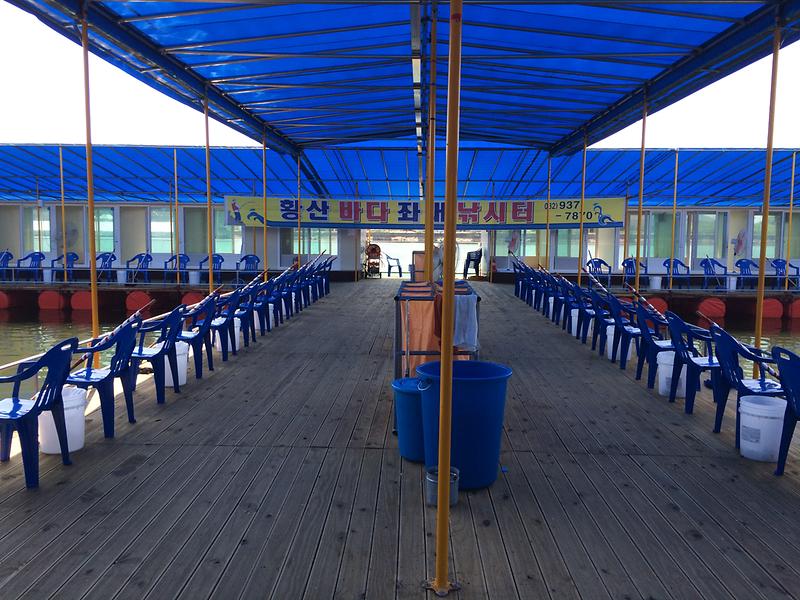 황산레저낚시터 사진6