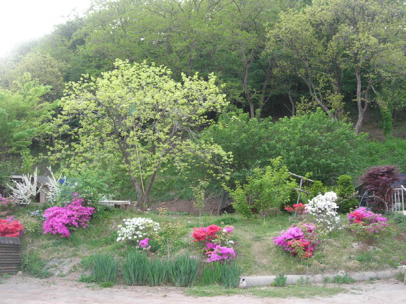 중앙민박 사진4