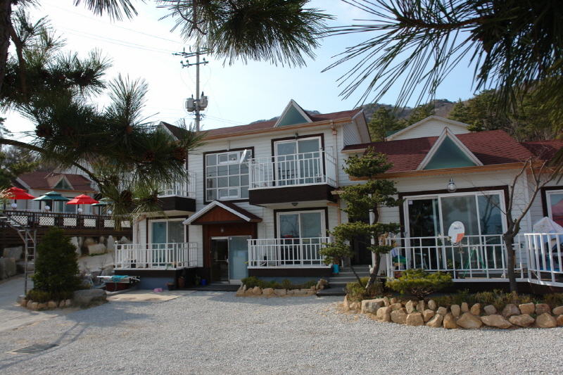 플라워펜션타운 사진2